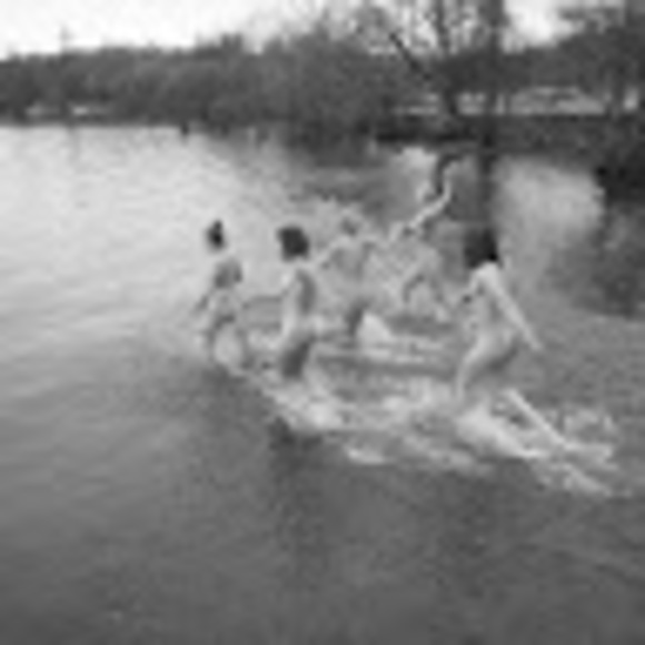 Meet your Posher, Areanna vera - Picture 1 of 1